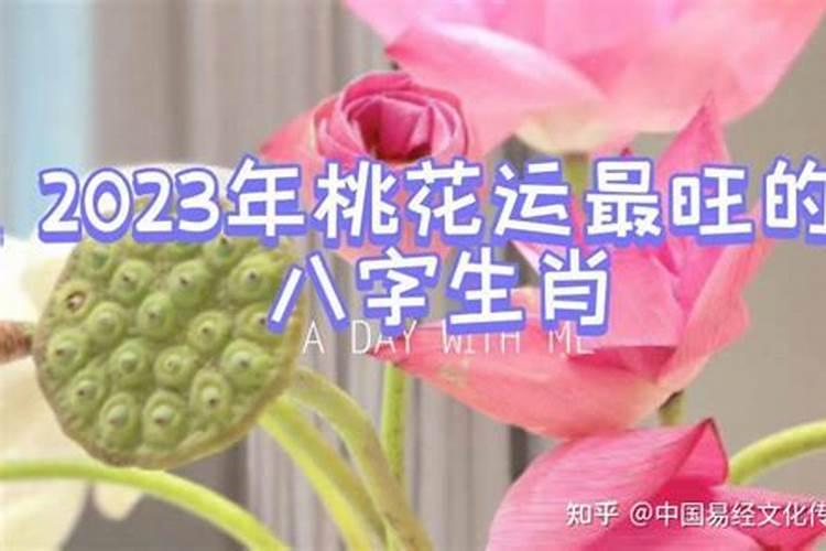 2020年桃花运最旺的是谁