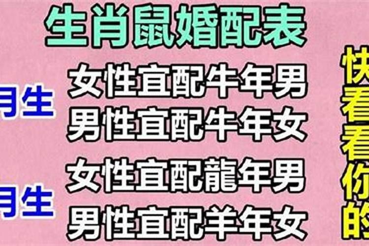 蔡依林属相是什么生肖