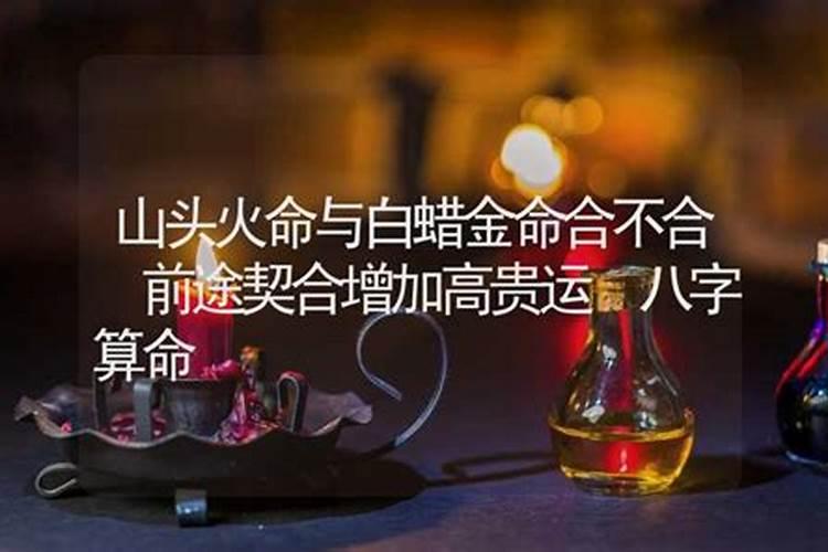 金和木命结合好不好