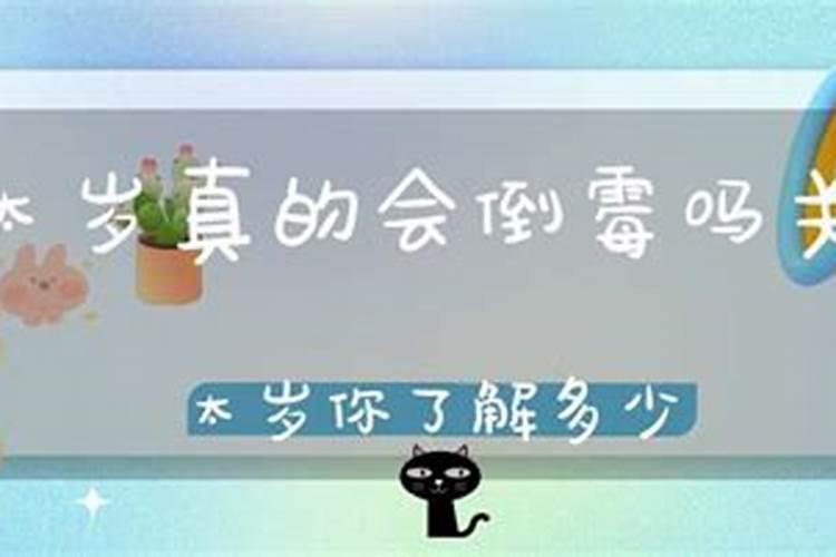 辛亥辛丑丁酉丙午八字