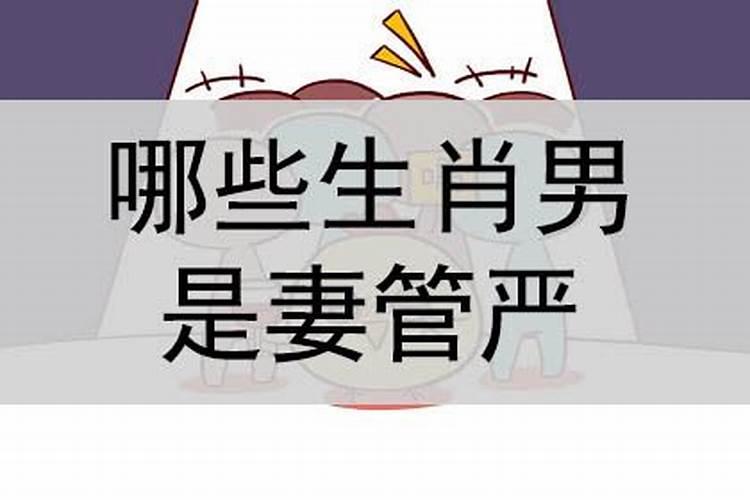 哪个生肖男最怕失去心爱女人很懂的珍惜