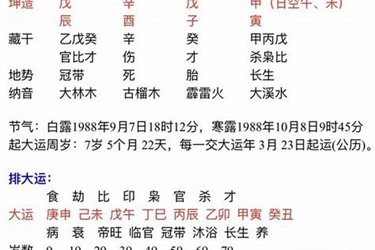 男士属兔本命年佩戴什么最好旺财运