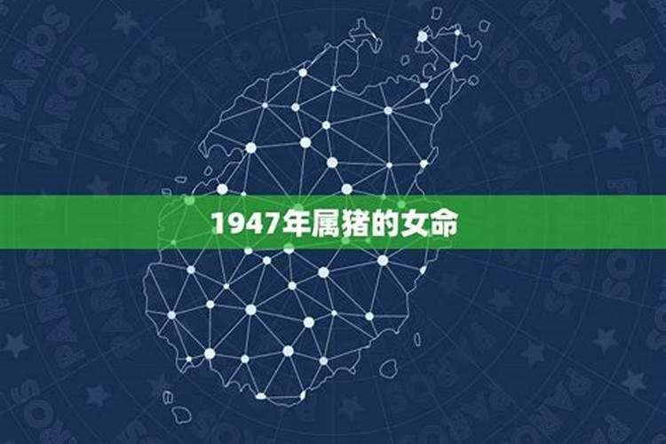 1947年属猪的是什么