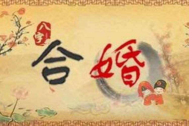 作文我梦见了什么600字