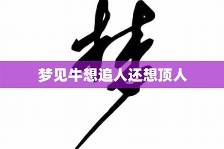 怀孕女人梦见蟒蛇周公解梦