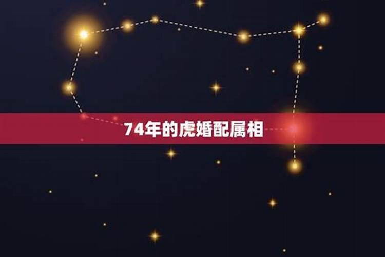 2024年壬午月什么八字运势好