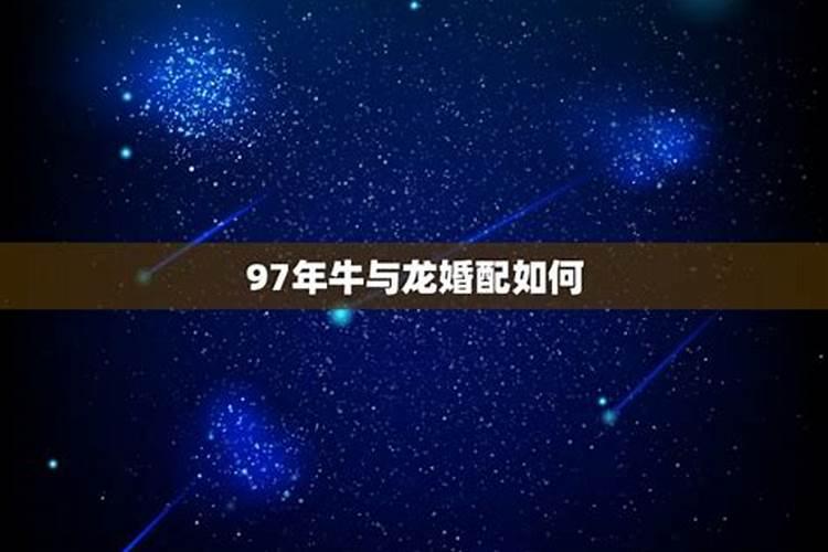 1981年属鸡的2022年的运怎么样