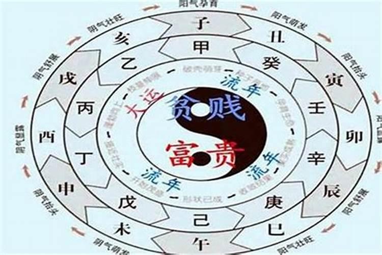 阳历是2月份是什么星座