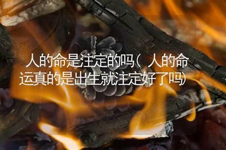 人的命运真的是命中注定吗