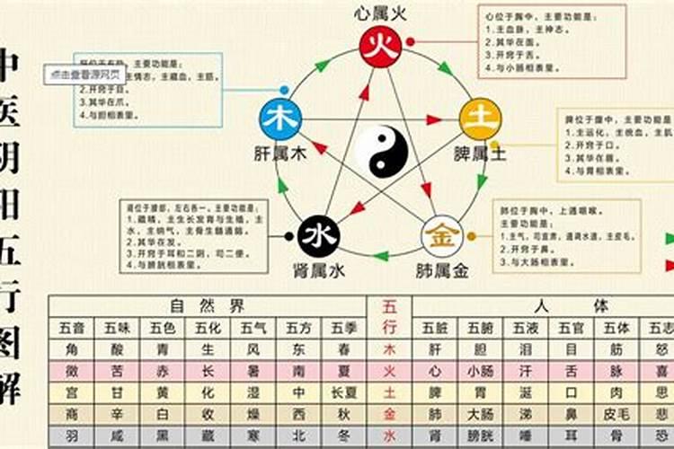 五行的基本概念和基本特性是什么