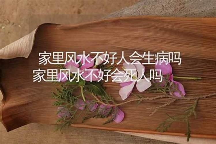 风水不好真会害死人