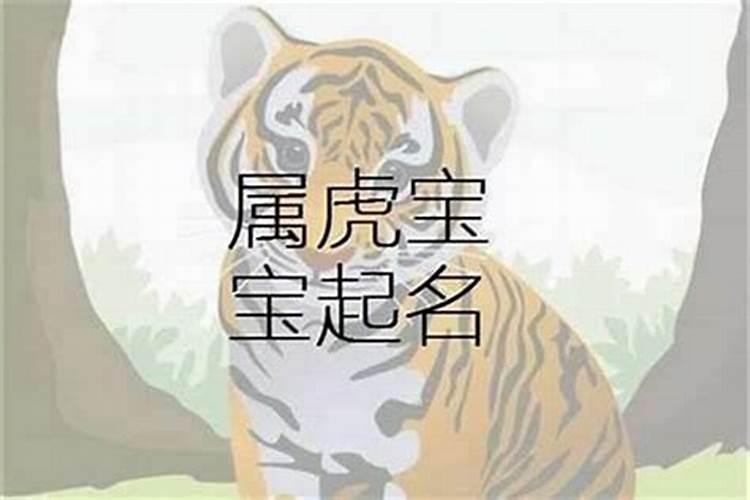 立秋出生的虎宝宝小名叫什么