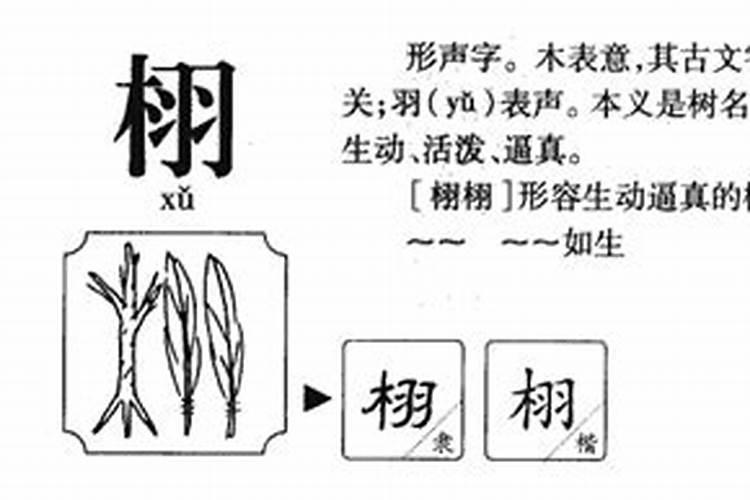 栩字五行属什么的意思是什么