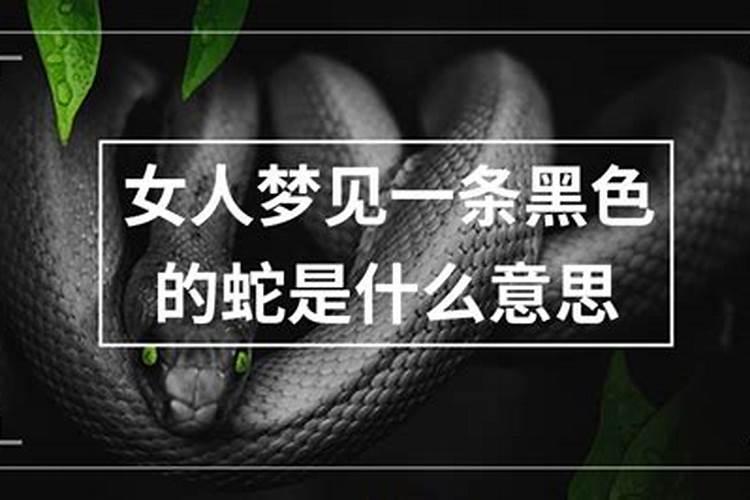 梦见一条蛇是什么意思