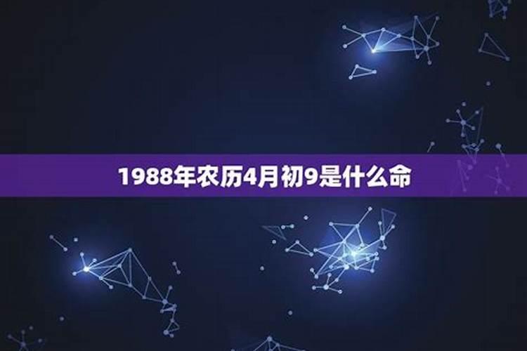 1988年属什么的什么命