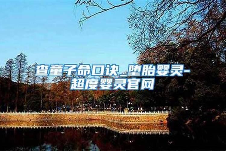 属兔应该起什么名字最好