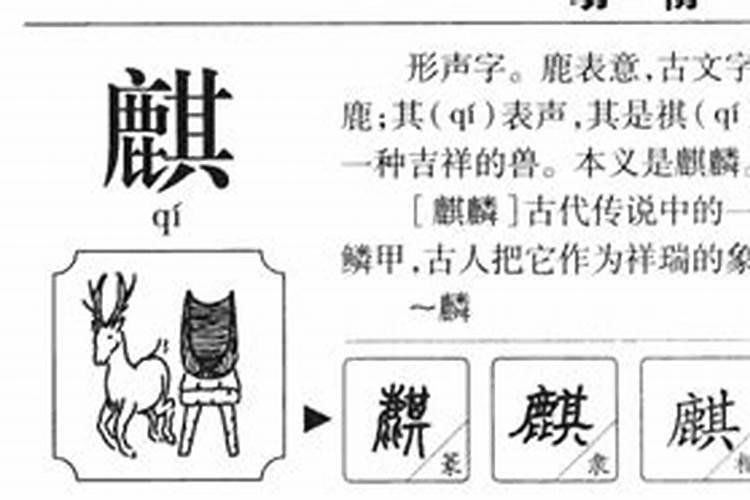 麒字五行属什么的