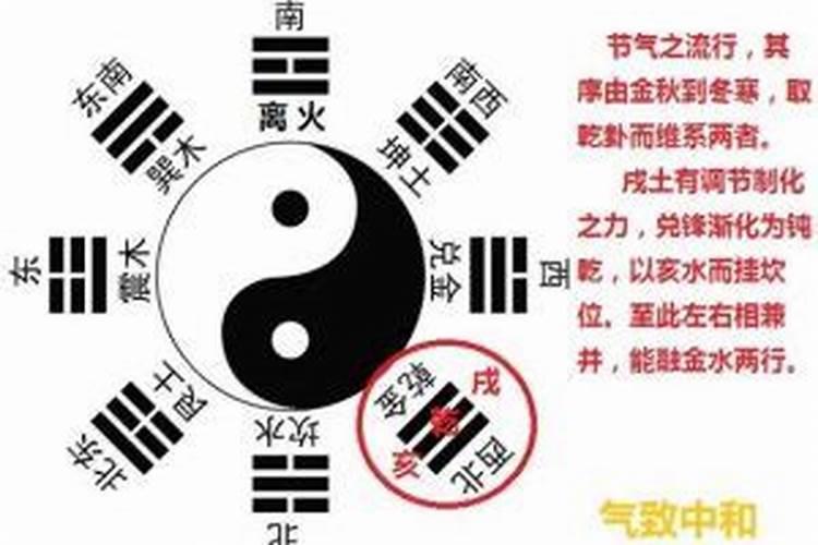 乾代表哪个生肖