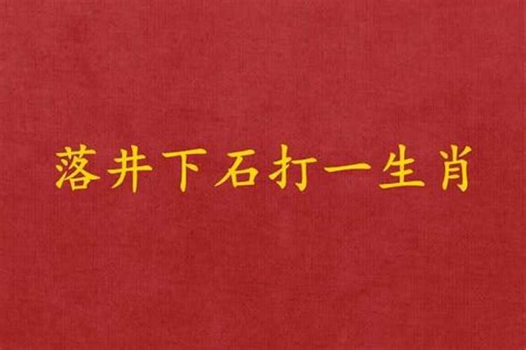 落井下石代表什么生肖手机爱问