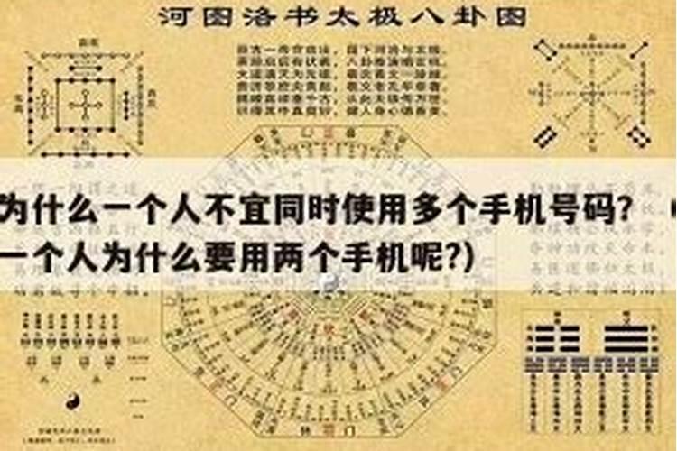 狗犯太岁2024年怎么化解