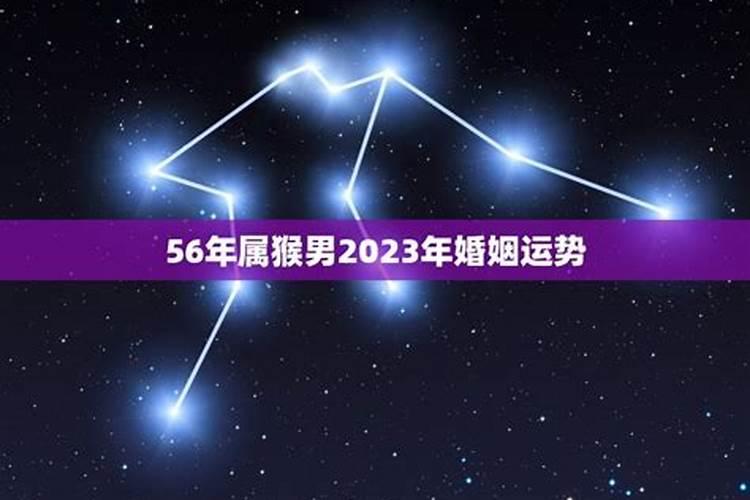 属猴人2023年感情运势如何