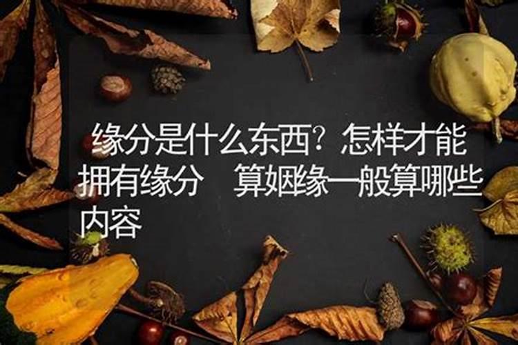 属虎找属什么的好