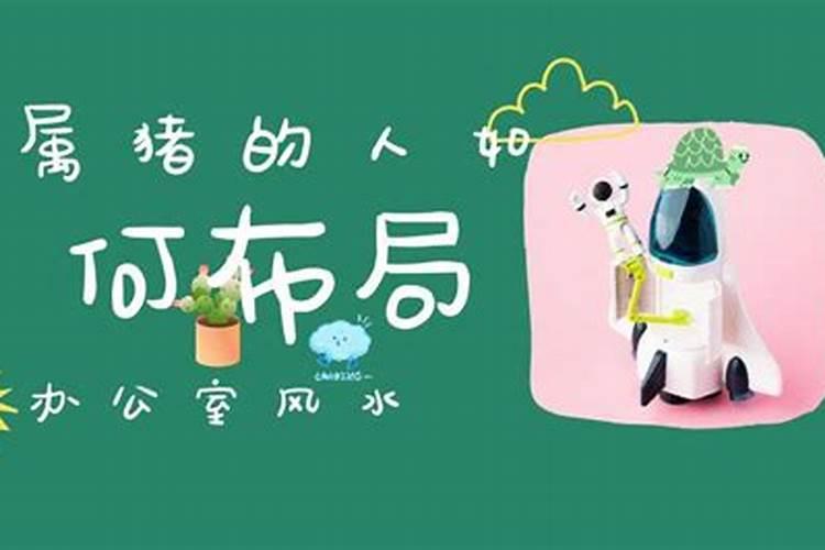 生肖属猪的办公室风水