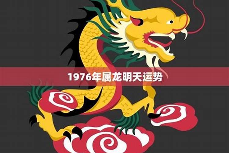 87年属兔配什么属相好