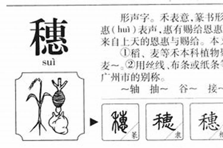 麦字五行属什么