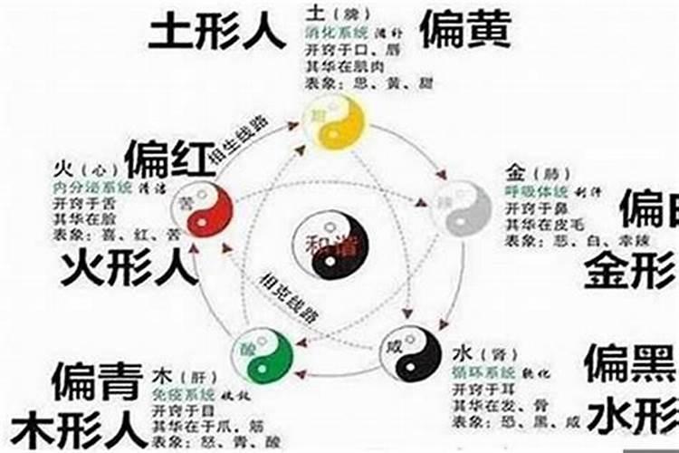 八字里比官是什么意思