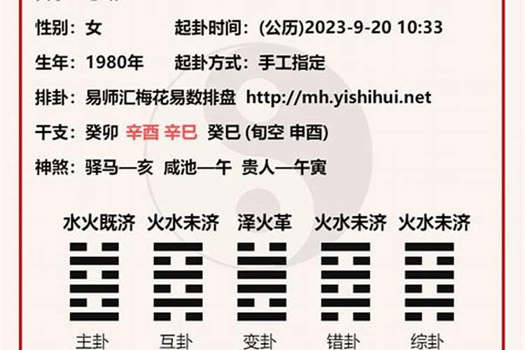 数马的2024年运势破解之法