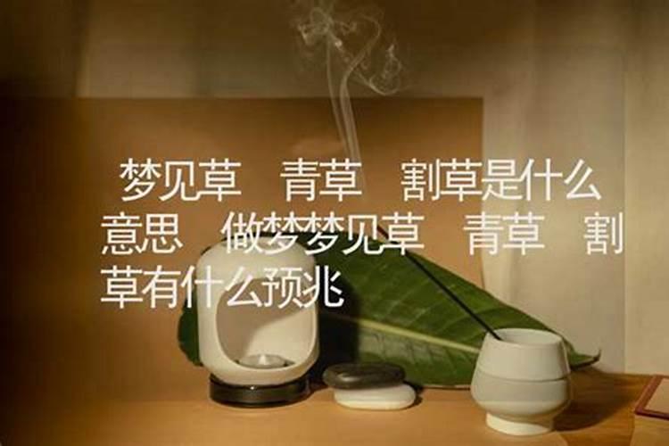 梦见割草是什么意思