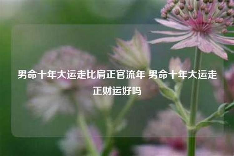 十年大运比肩是什么意思