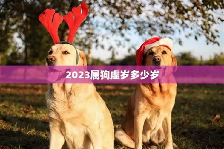 2021年属狗虚岁多大