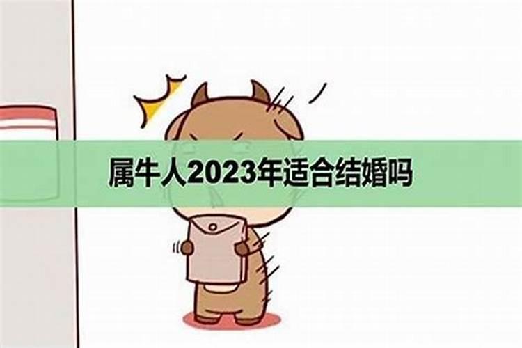 2020年犯太岁的五大生肖需要注意什么