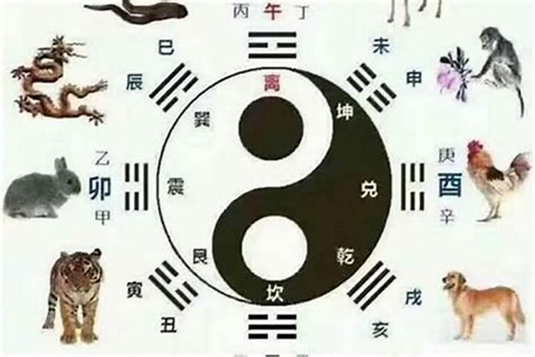 能文能武是什么生肖