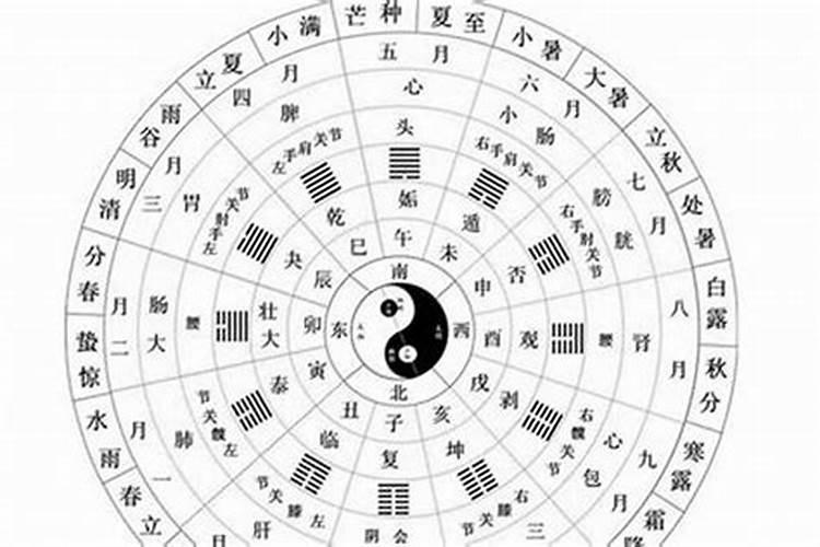 狗字五行属什么属性