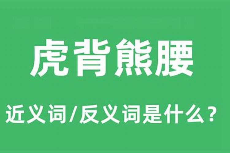 孔武有力硬如钢虎背熊腰也美丽是什么生肖