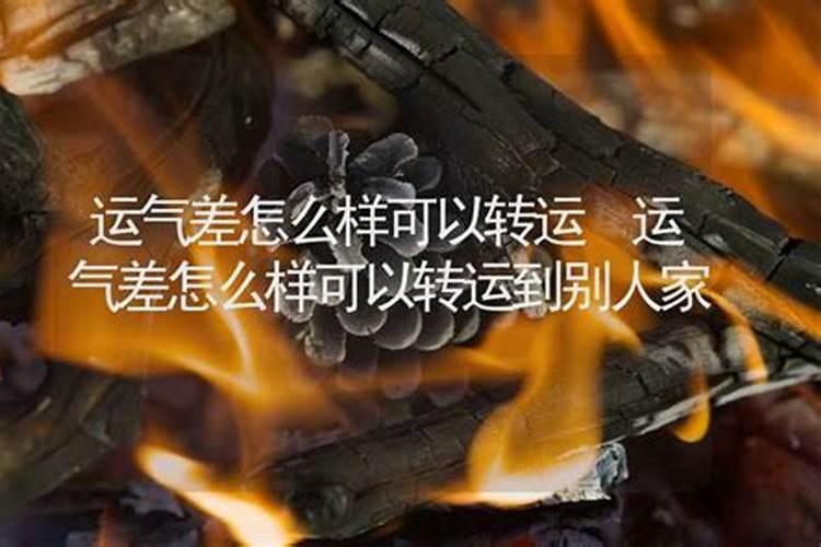 给财神上供上什么菜隔夜温一温的好不好