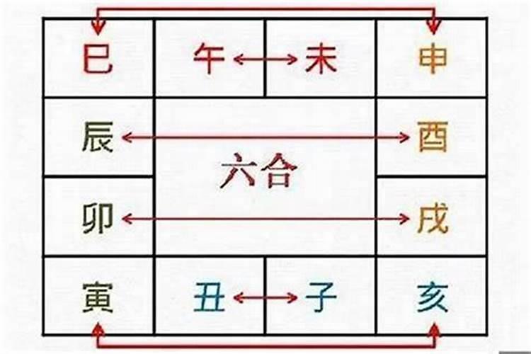 八字中戌与什么合