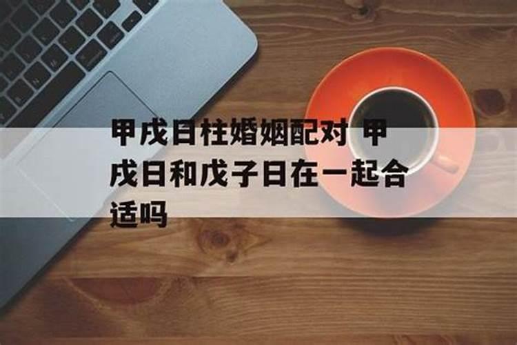 甲戌己卯合婚不了怎么回事