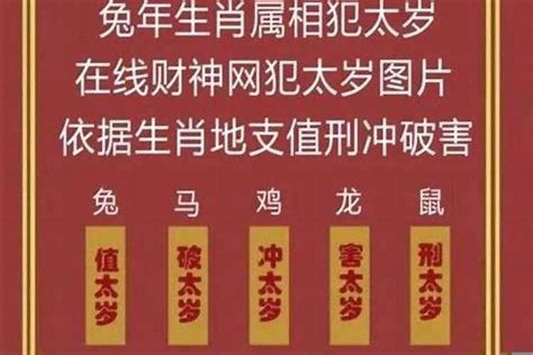 鼠今年犯太岁吗2021