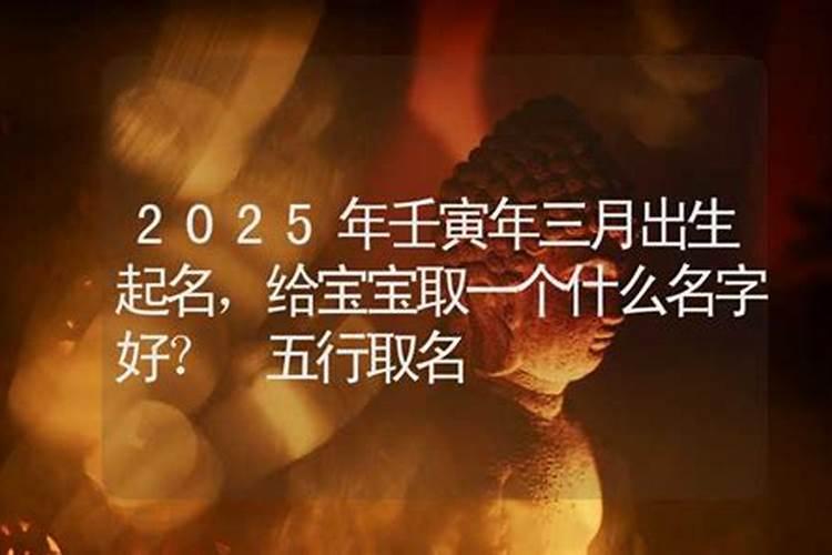 属蛇2024年运势学业运程