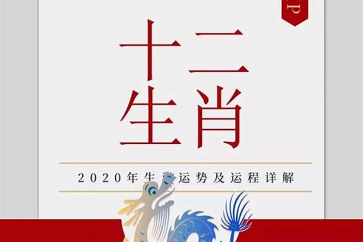 2020年属龙的人犯什么吗