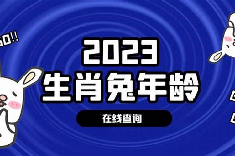 属兔的2011年多大年龄