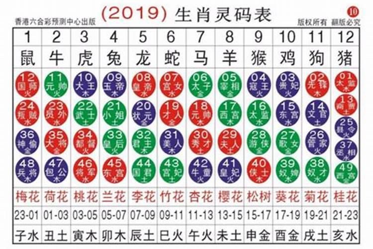 36的生肖是什么