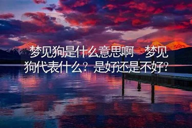 梦到狗说话什么意思