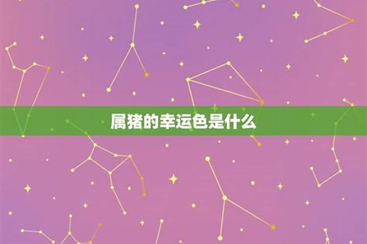 生肖猪2021年的幸运颜色是什么