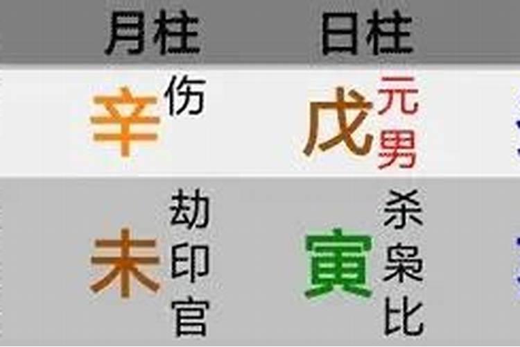 八字天干巳和什么合