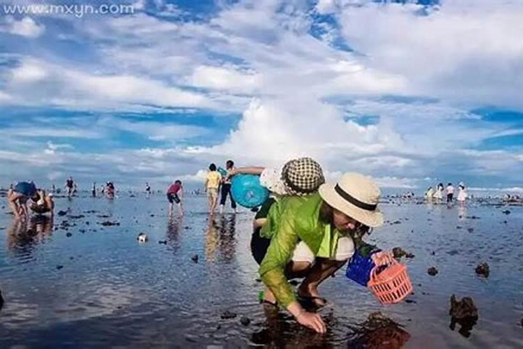 梦见大海边捡海鲜